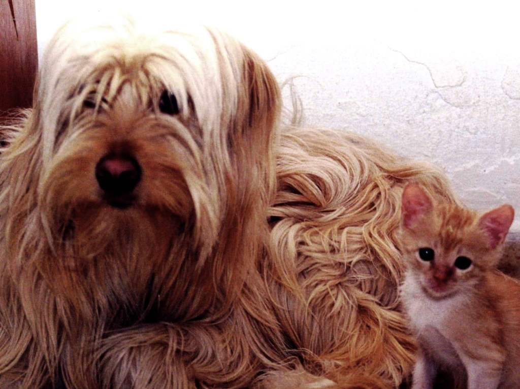 שתיים בטריטוריה משותפת. שם זה דווקא היה פשוט מההתחלה....