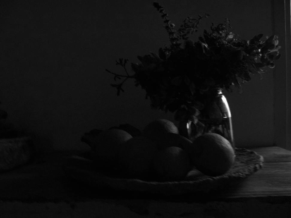 פרחים צללית מוקטן