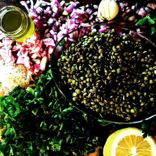 זה סלט עדשים שחורות