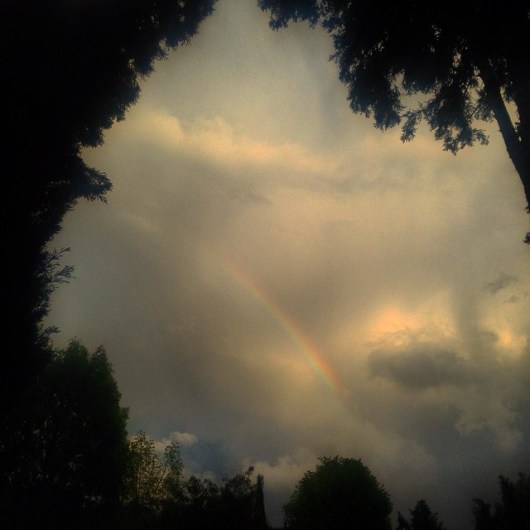 10686802_10152521003332828_3874541331498663212_n (1)